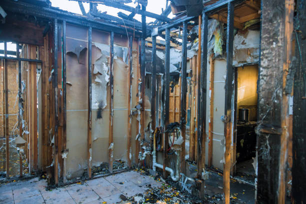 Professional Fire Damage Removal technician working in Rosedale, MD