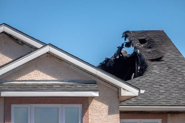 Top rated local Fire Damage Removal specialists in Rosedale, MD